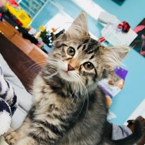 Meet your Posher, Ciara